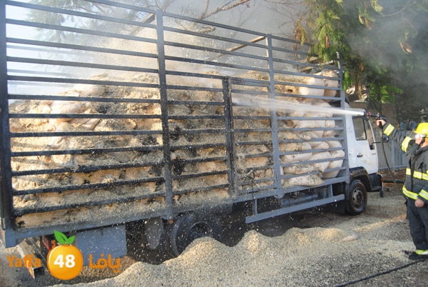 fire truck 804 (3).JPG